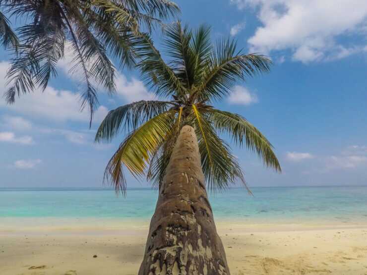 Ilhas Maldivas - Praia Gulhi