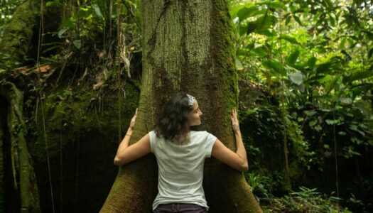 Turismo sustentável: O que é e por que devemos praticá-lo
